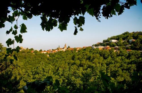 Sighnaghi Apartment | Apartment Sunrise
