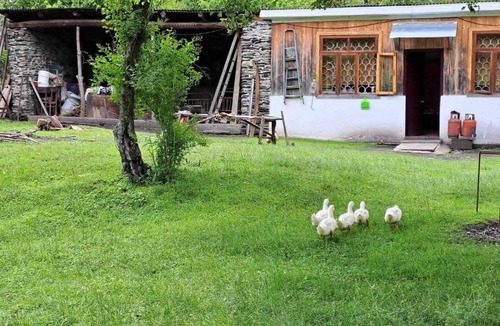 Lentekhi House | Babulia Guest house