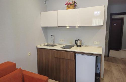 Bakuriani Apartment | Bakuriani Crystal