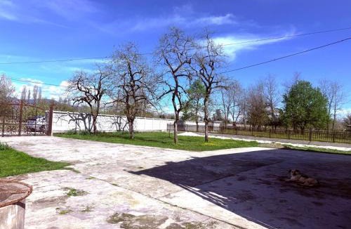 Martivili House | BibO
