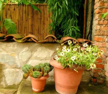 Telavi House | Boutique Hotel Talaveri In Telavi