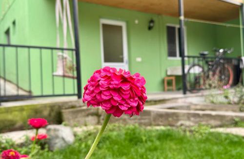 Akhali Ubani Apartment | Buddy Apartment Borjomi