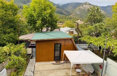 Akhali Ubani Apartment | Buddy Apartment Borjomi