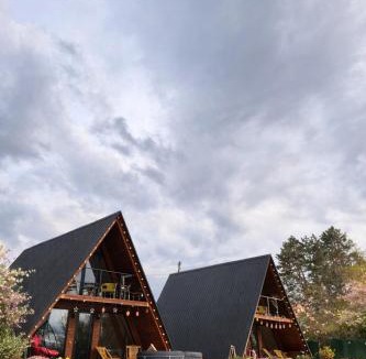 Vedzebi Apartment | C'est La Vie - Cottages in Sabaduri Forest