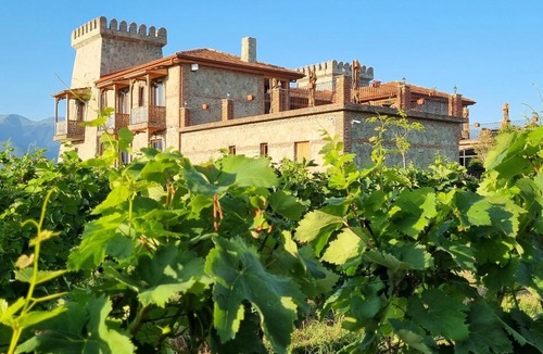 Kvareli Hotel | Château Davitiani
