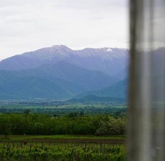 Telavi Hotel | Chateau Resse