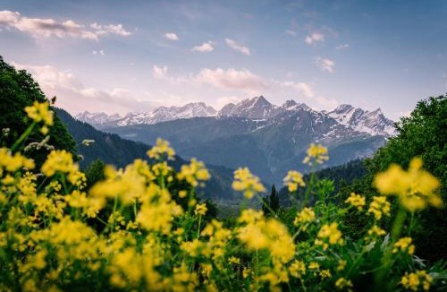Racha-Lechkhumi and Lower Svaneti Hotel | Chiora Inn