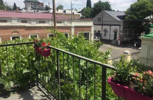 Chugureti Apartment | Comfy 3 Apartment house for 9 people
