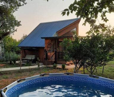Tsqaltubo Ski Chalet | Cottage Banoja