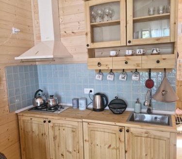 Mtskheta Ski Chalet | Cottage in Tskhvarichamia forest 2