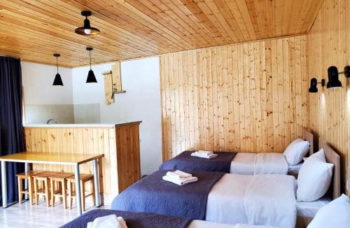 Stepantsminda Cabin | Cozy apartament