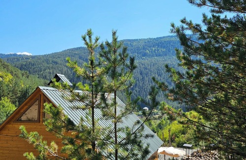 Didi Ateni Cabin | cozy cottage FeelFree continental in the forest