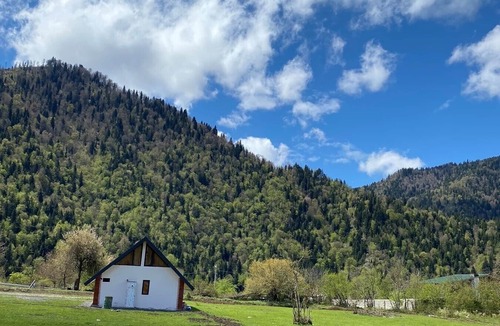 Likani Cottage | Cozy Hills in Borjomi