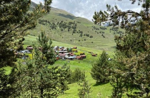 Diklo Hotel | "Dzveli galavani" Tusheti Diklo "ძველი გალავანი"