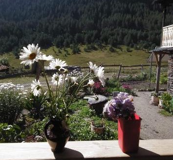 Diklo Hotel | "Dzveli galavani" Tusheti Diklo "ძველი გალავანი"