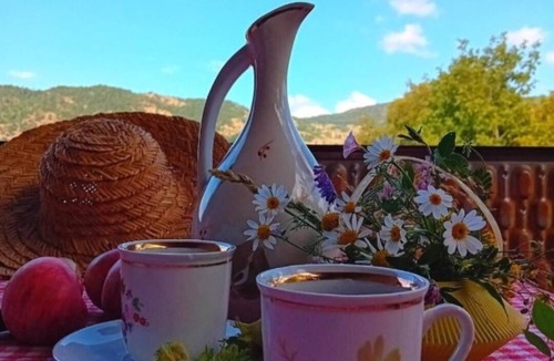 Likani House | Eco house in beautiful village near Borjomi for a relaxing getaway