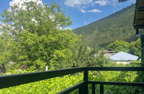 Akhali Ubani Apartment | ELAN Guest House Borjomi Near the River