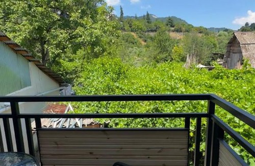 Akhali Ubani Apartment | ELAN Guest House Borjomi Near the River