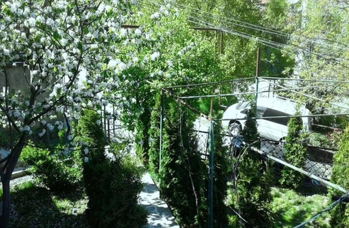 Borjomi House | Family apartment "Casa"