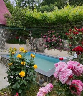Ambrolauri House | Friendly Cottage with small Pool