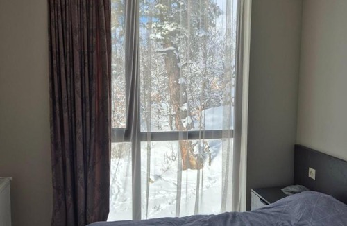 Bakuriani Ski Chalet | Fughuro cottage