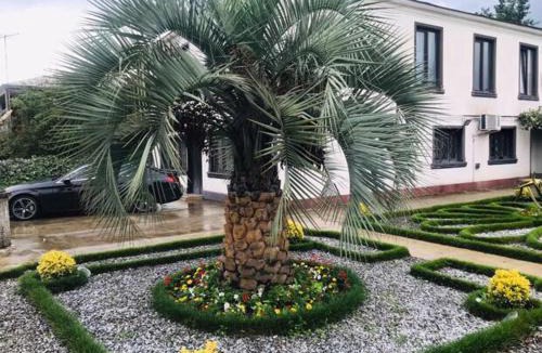 Zugdidi Bed & Breakfast | Green Garden