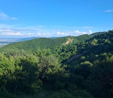 Sighnaghi House | Green House მწვანე სახლი