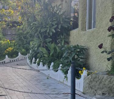 Sighnaghi House | Green House მწვანე სახლი