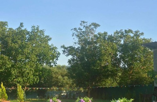 Tsilkani House | Green Village