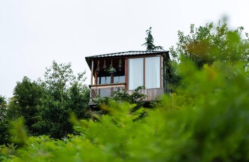 Khelvachauri Cabin | Greenland Pheria - Cabin near Batumi
