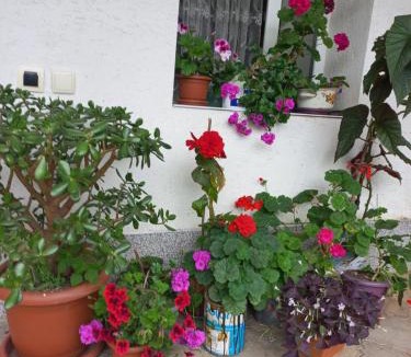 Mestia House | Guest House IRAKLI