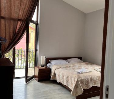 Tsqneti Apartment | Guest House PIROSMANI