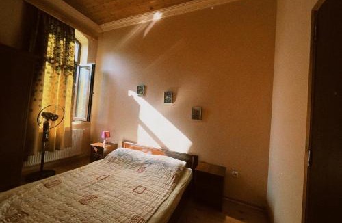 Ambrolauri House | Guesthouse Edena