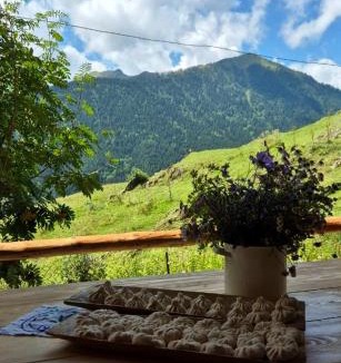 Omalo House | Guesthouse hegho სასტუმრო ჰეღო