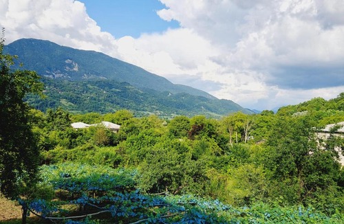 Ambrolauri House | Guesthouse Turo