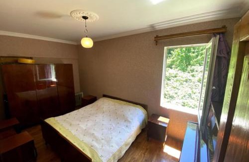 Salkhino Apartment | guesthouse wood