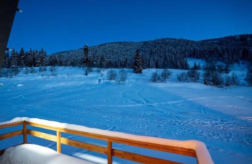 Bagvdanari Ski Chalet | Hatsvali Ski Resort Cottages