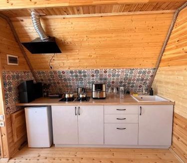 Bagvdanari Ski Chalet | Hatsvali Ski Resort Cottages