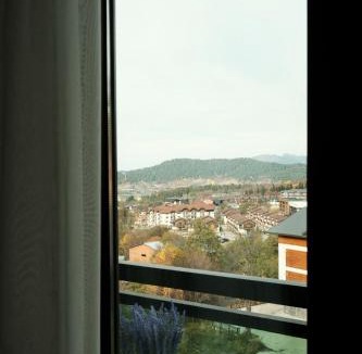 Bakuriani Apartment | HD Didveli Apartment