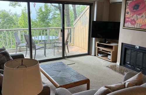 Maple City Condo | Homestead condo, Beautiful View of Lake MI & Manitou Island