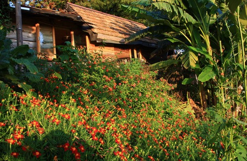 Chaisubani Cabin | Honey Dreams - Fairy house among the green hills