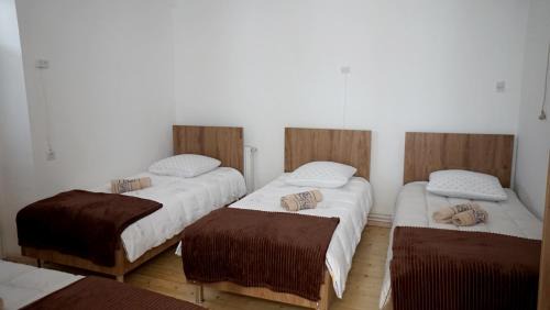 Avlabari Hostel | Hostel Nino Tbilisi