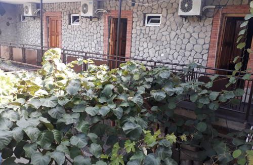 Kvareli Hostel | Hotel EUROPE