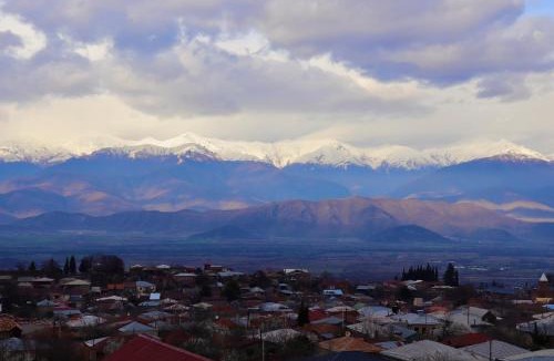 Telavi Hotel | Hotel Horizont Telavi