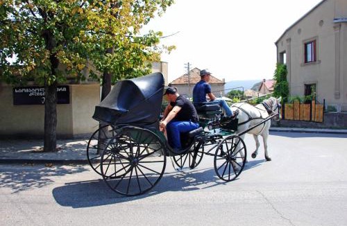 Mtskheta Apartment | Hotel Liva