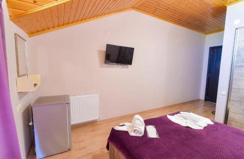 Ambrolauri Hotel | Hotel Shaori