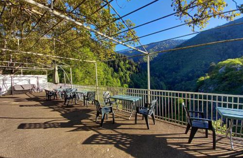 Likani House | Hotel Villa Borjomi