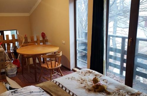 Tsqneti Apartment | House on the mountain