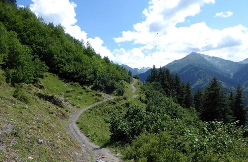 Bagvdanari Hotel | In the middle of nature, closest to popular hiking trails and winter ski runs