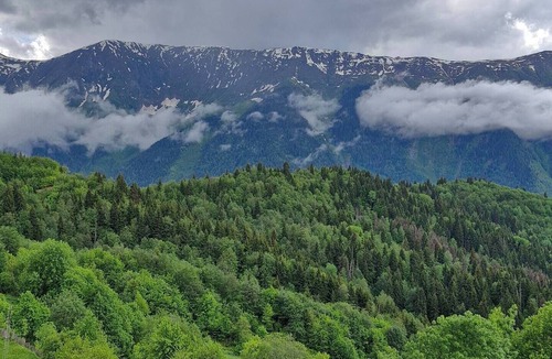 Mestia Cabin | Isolated Cabin in Kichkhuldashi, Svaneti with Lake Fishing & Horse Riding